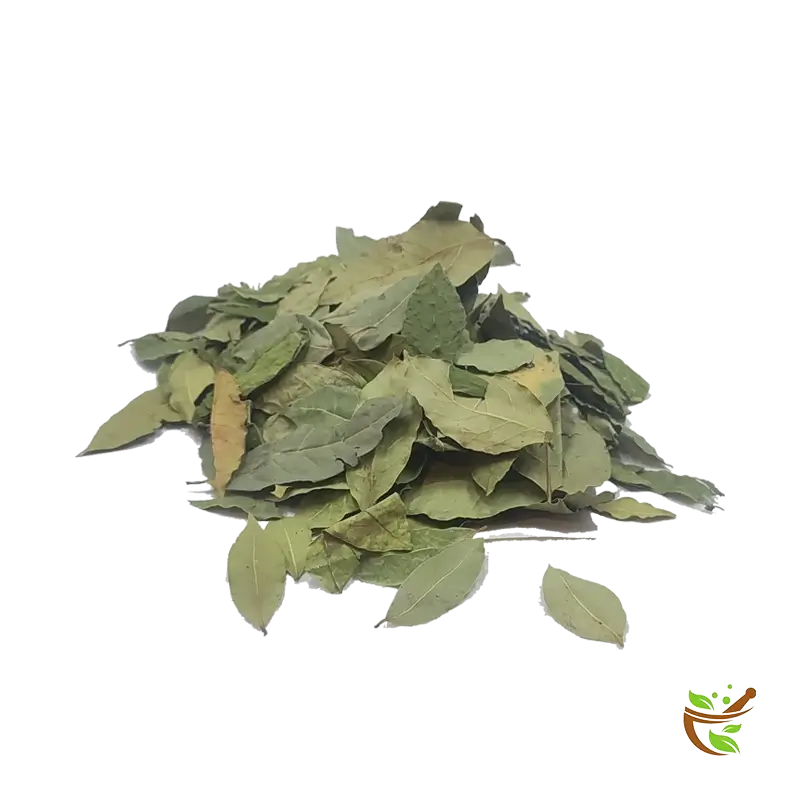 bay-leaves برگ بو