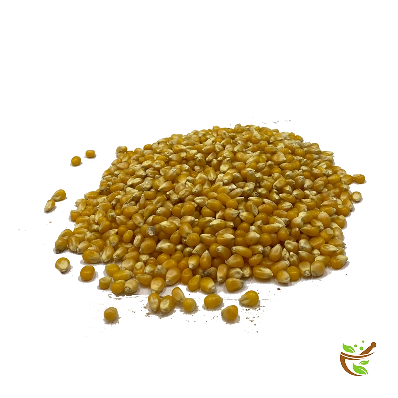 corn-seeds ذرت