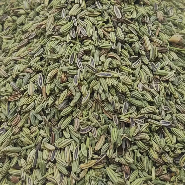 رازیانه