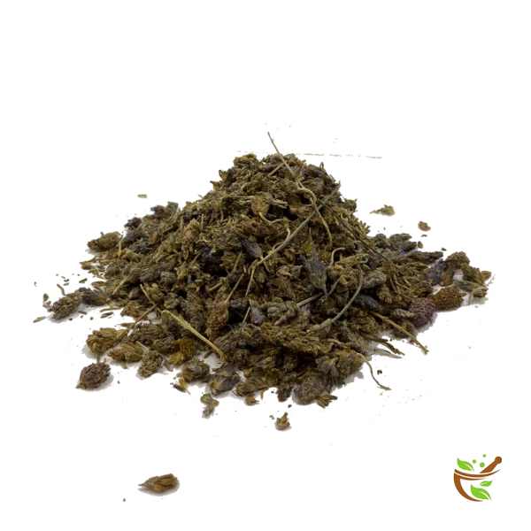 اسطخودوس