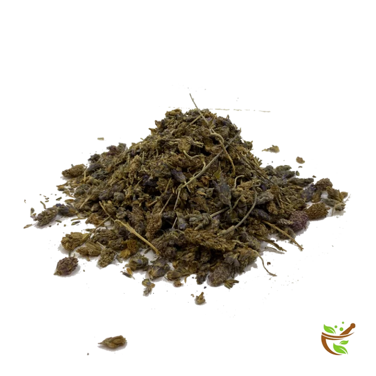 اسطخودوس