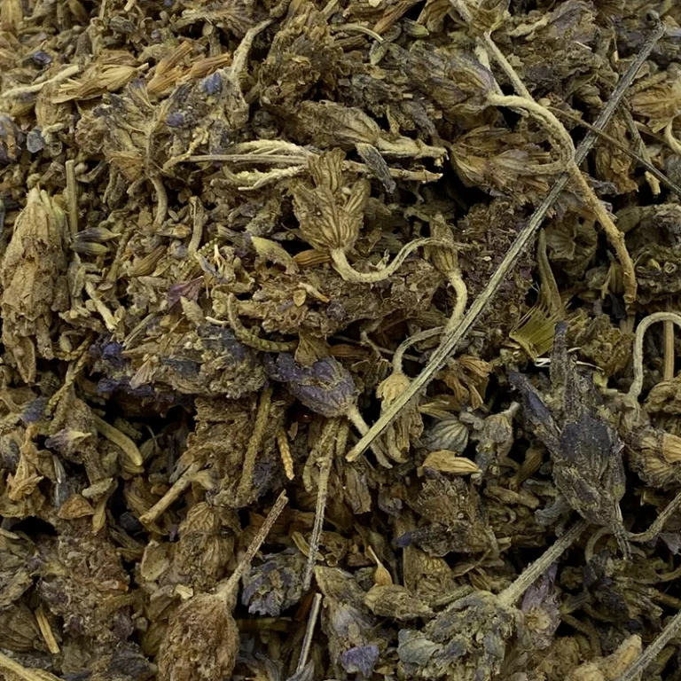 اسطخودوس