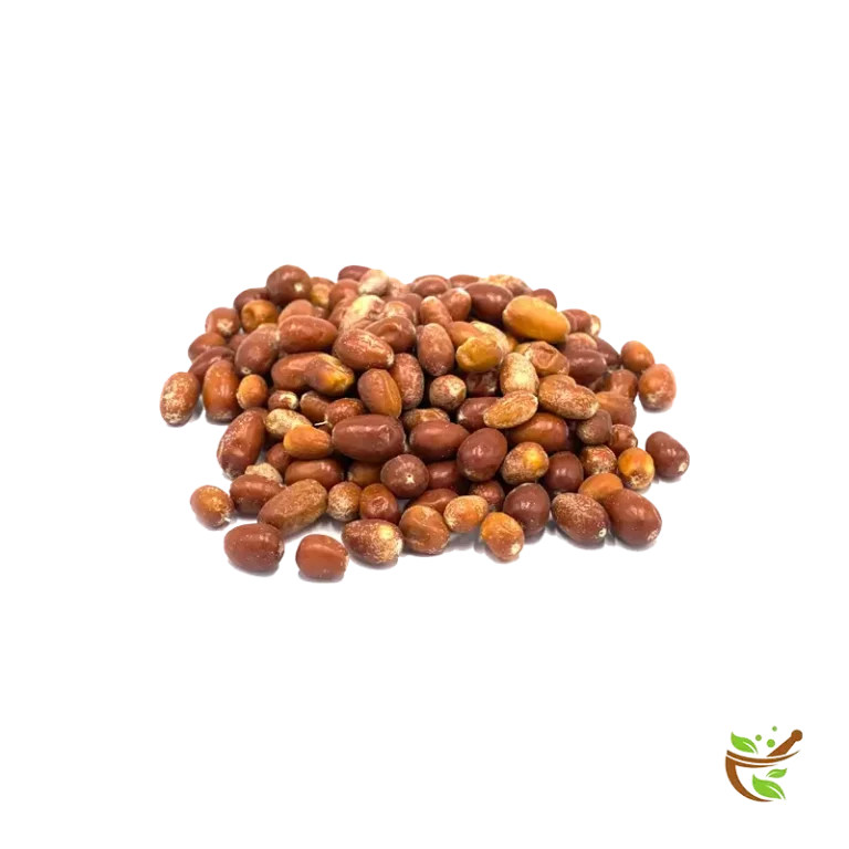 سنجد