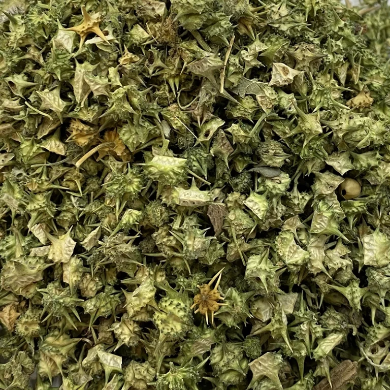 خارخاسک